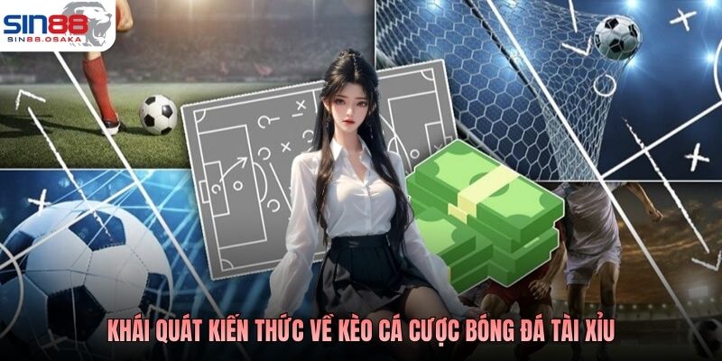 Cá Cược Bóng Đá Tài Xỉu - Đọc Chuẩn Nhịp, Ăn Đủ Bàn 2 Khái quát kiến thức về kèo cá cược bóng đá tài xỉu