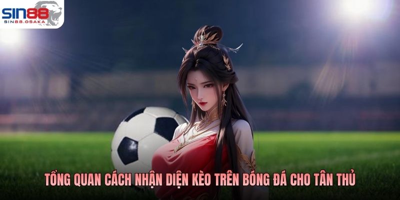 Tổng quan cách nhận diện kèo trên bóng đá cho tân thủ